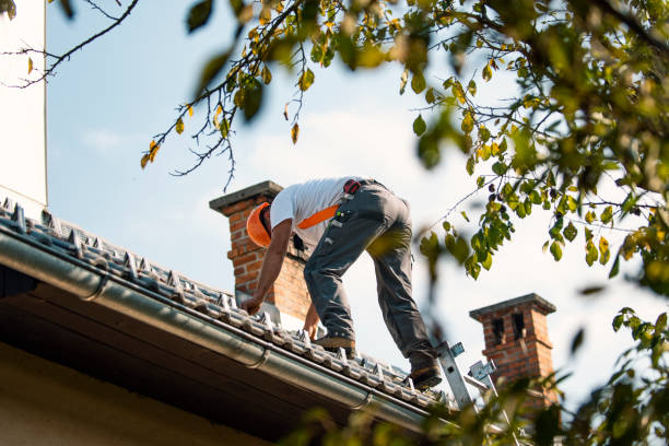 Best Roof Waterproofing Services  in Kettle Falls, WA
