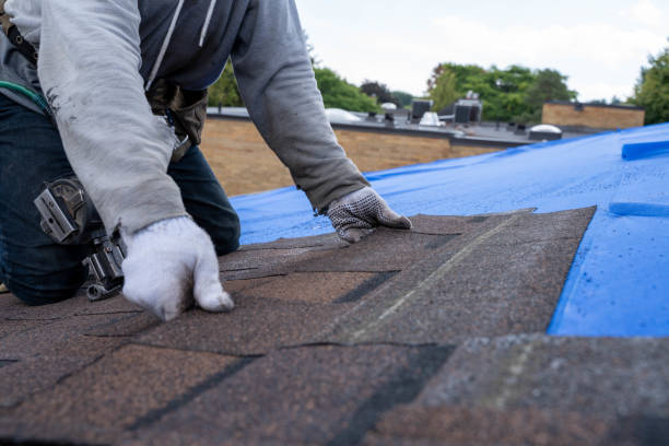 Best Emergency Roof Repair  in Kettle Falls, WA